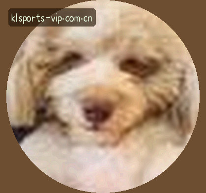 王磊