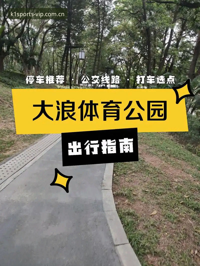 K1体育官方网站入口使用技巧完整指南：从下载到投注的实战经验分享